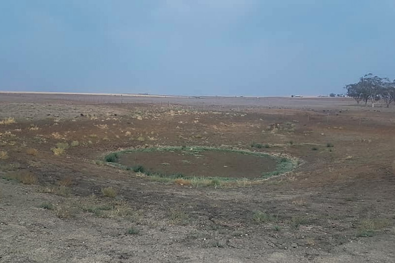 A dried up dam on a farm