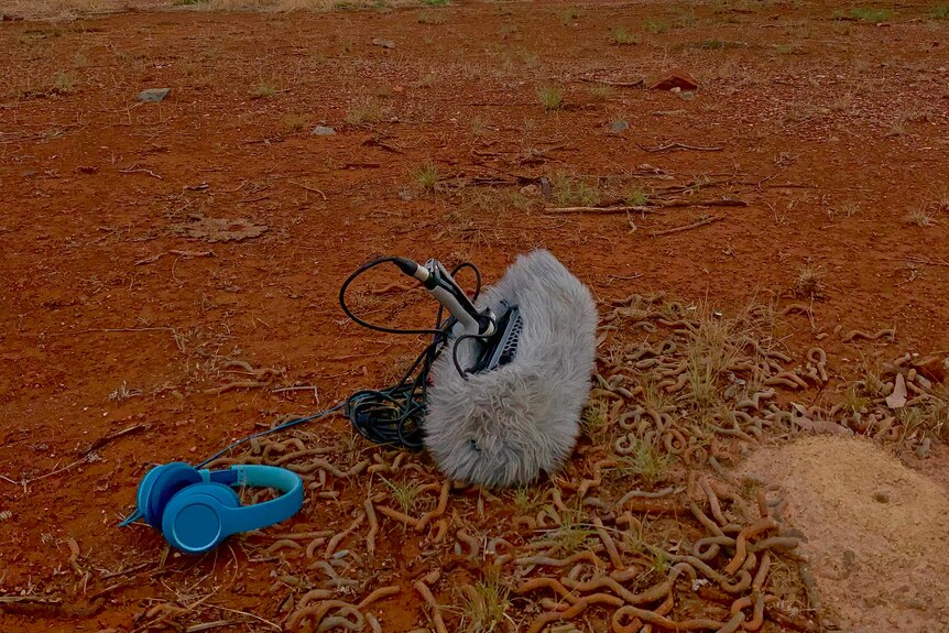 A boom mic and head phones lay on the red dirt pointing towards a distant storm