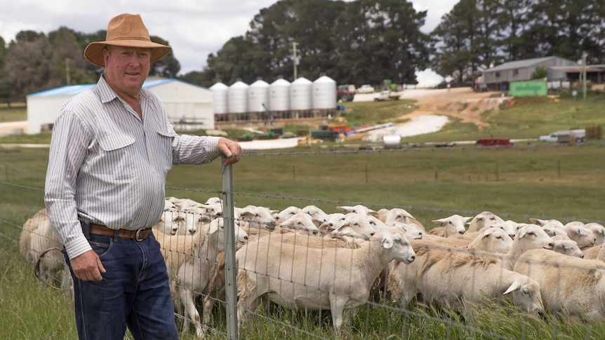 Black Springs farmer Graham Gilmore standing at a fence with sheep behind it.