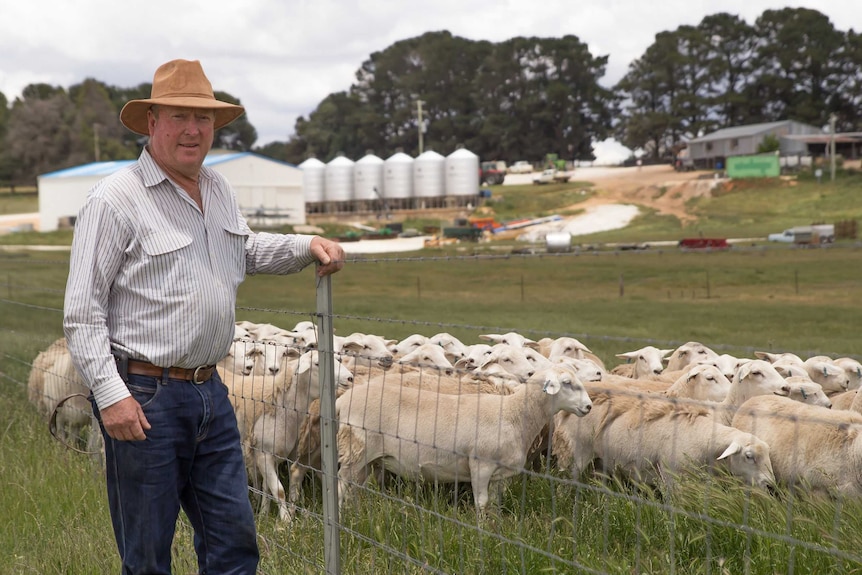 Black Springs farmer Graham Gilmore standing at a fence with sheep behind it.