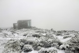 Late summer snow on Mount Wellington/kunanyi