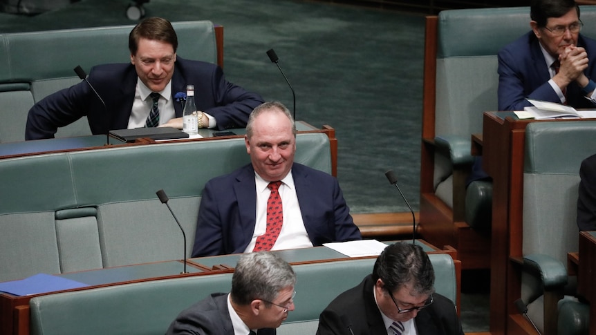 barnaby joyce looks up at the camera on the back bench