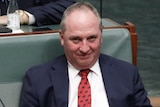 barnaby joyce looks up at the camera on the back bench