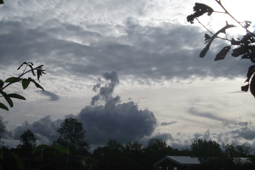 A cloud with a startling resemblance to a poodle.