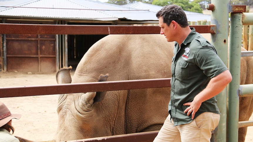 Damien Mander and a rhino at Monarto Zoo