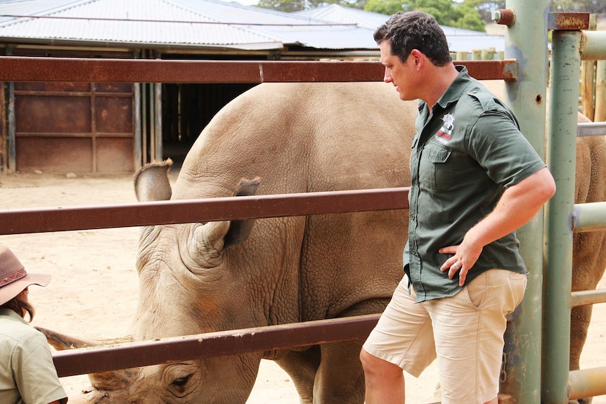 Damien Mander and a rhino at Monarto Zoo