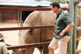 Damien Mander and a rhino at Monarto Zoo