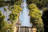 The River Murray submerges a road amid flooding.
