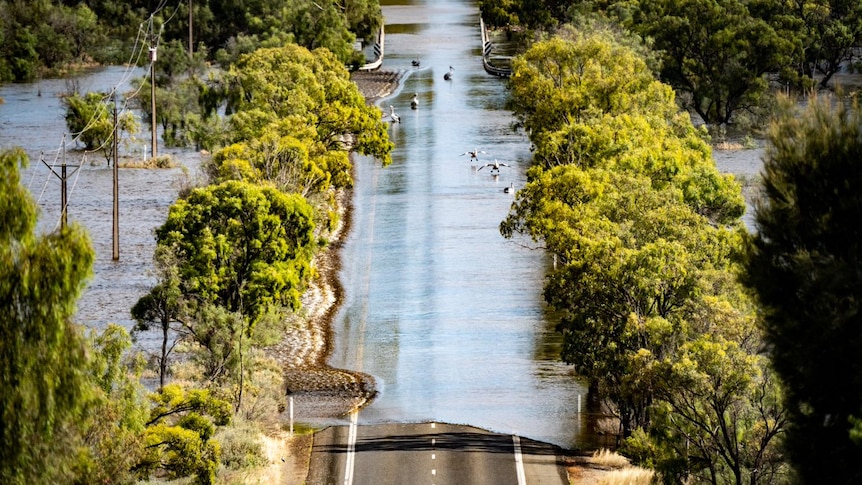 The River Murray submerges a road amid flooding.