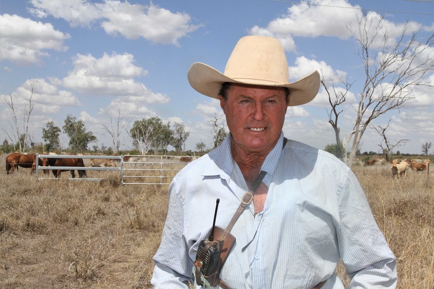 man with a wide-brim cattle style hat standing in paddock with cattle visible in the background.