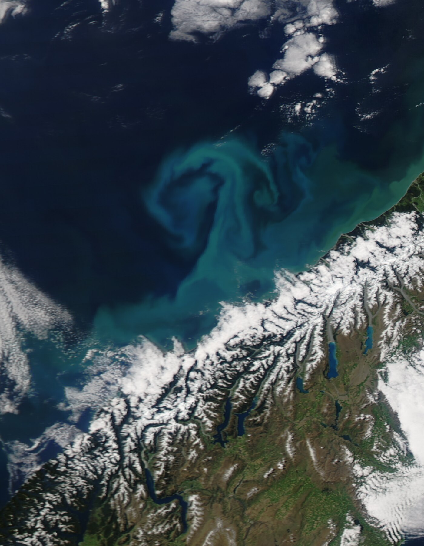 Algal bloom off New Zealand coast