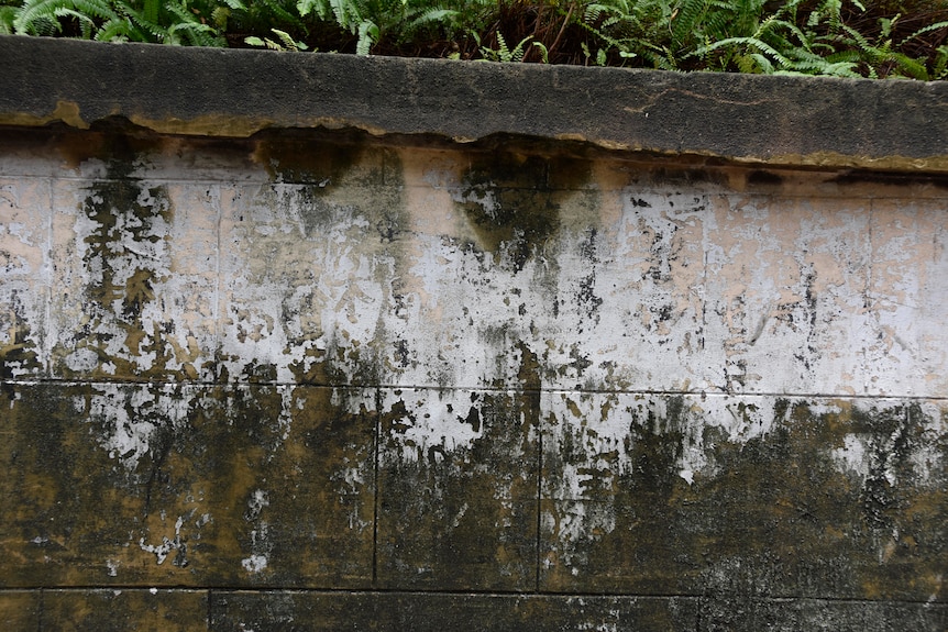 A concrete wall with the faint outline of Chinese calligraphy characters in white paint.
