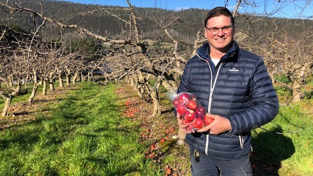 man standing in orchard with bag of apples