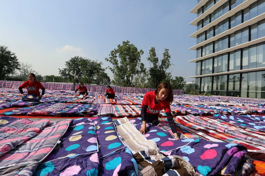 Staff lay out hundreds of quilts