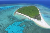 Aerial view of the small but beautiful Lady Musgrave Island, ringed by coral in shallows and deep blue sea