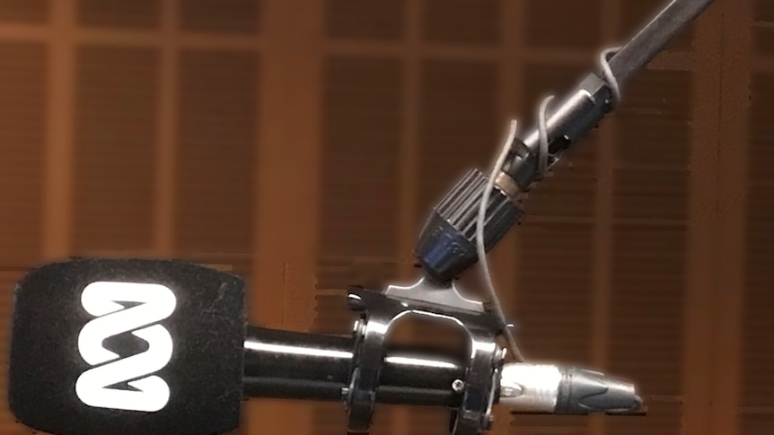 Typical studio microphone, commonly used by ABC Radio presenters