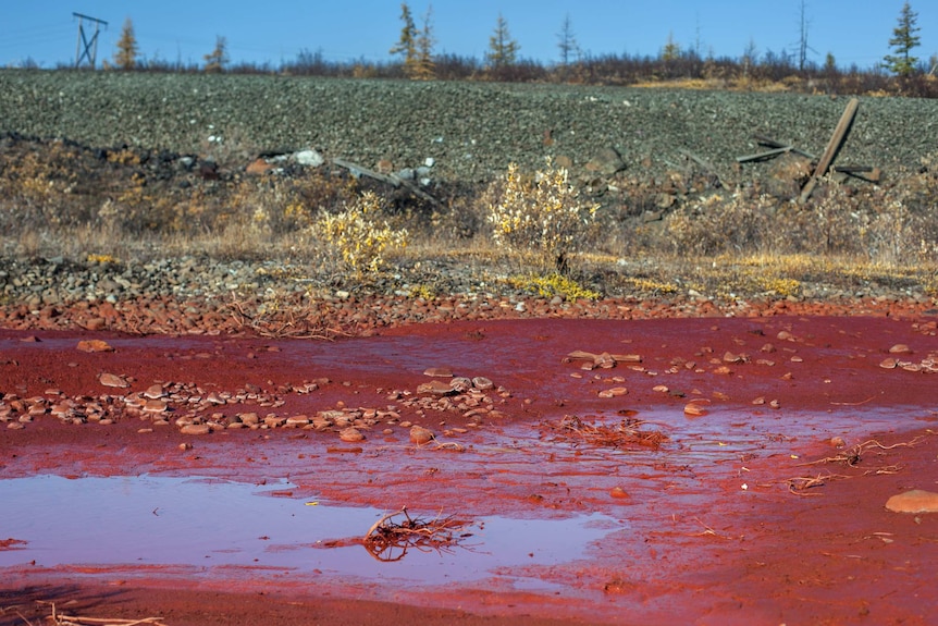 A river appears blood red