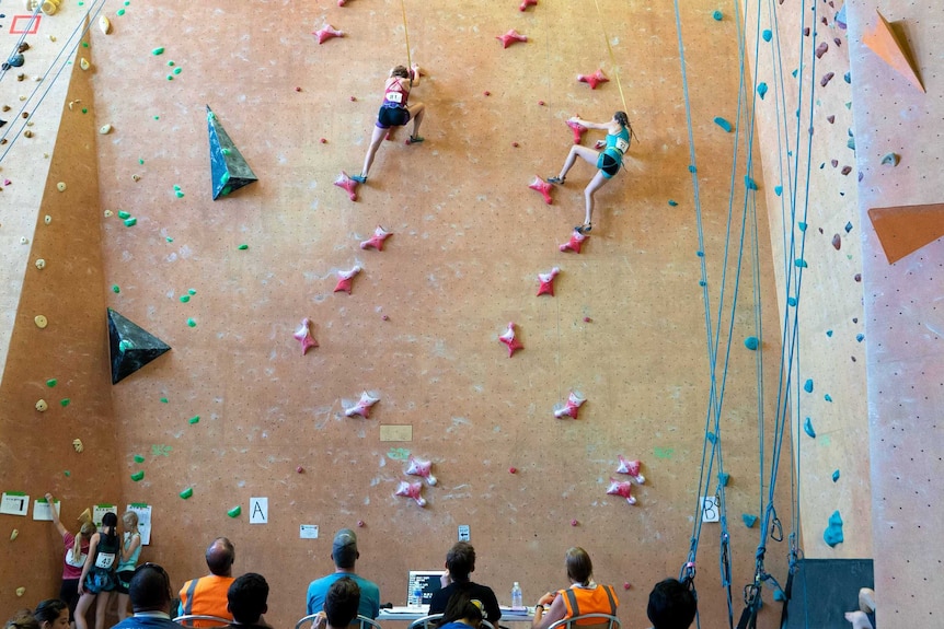 Two climbers race to scale a 15 metre-high wall.