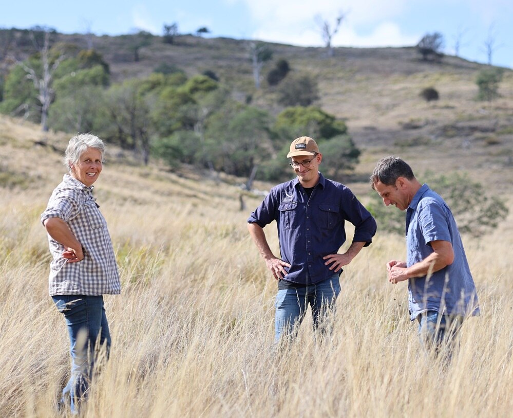 Midlands farmers protecting the natural habitat on farms - ABC listen