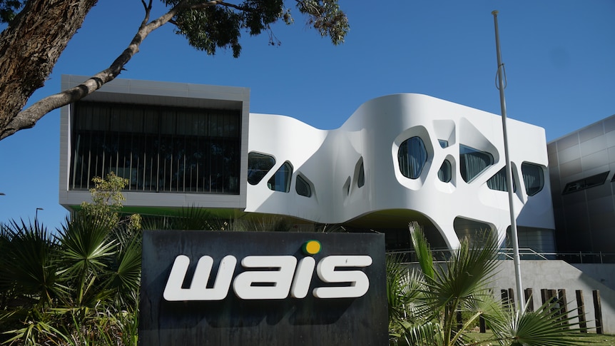 A modern building with the large white letters WAIS on it