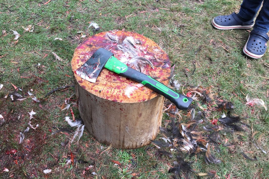 An axe rests on a bloody chopping block surrounded by feathers.