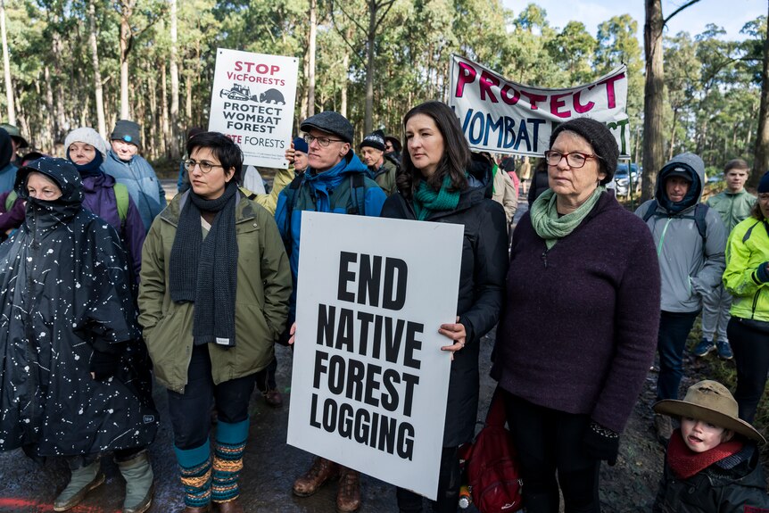 Ellen Sandell holds a sign that says End Native Forest Logging and stands amid a group of protesters.