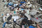 A pile of rubbished collected from the beaches including thongs, bottles and other plastic items.