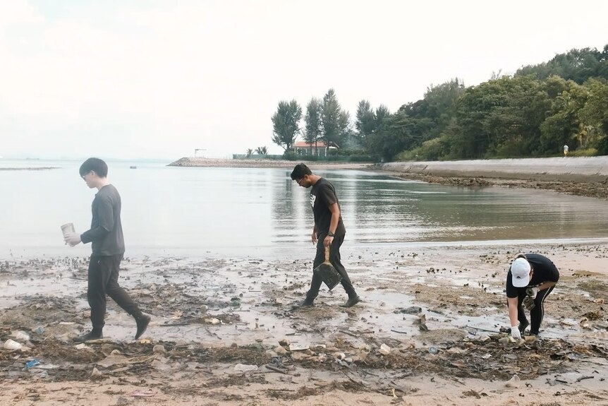Three people walking along a beach picking up plastic.