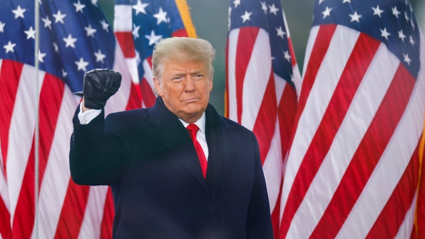 Il presidente degli Stati Uniti Donald Trump alza il pugno durante una manifestazione a Washington