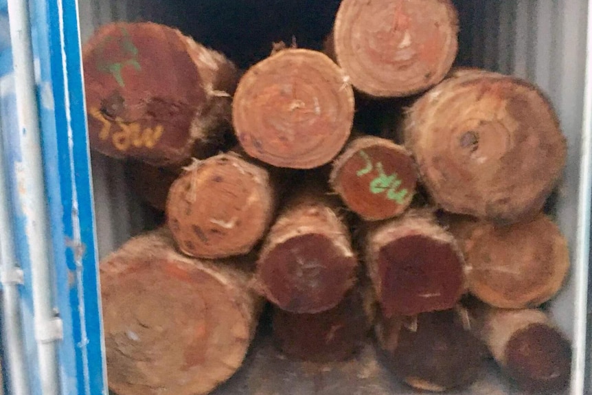 Large logs piled in a large metal storage container