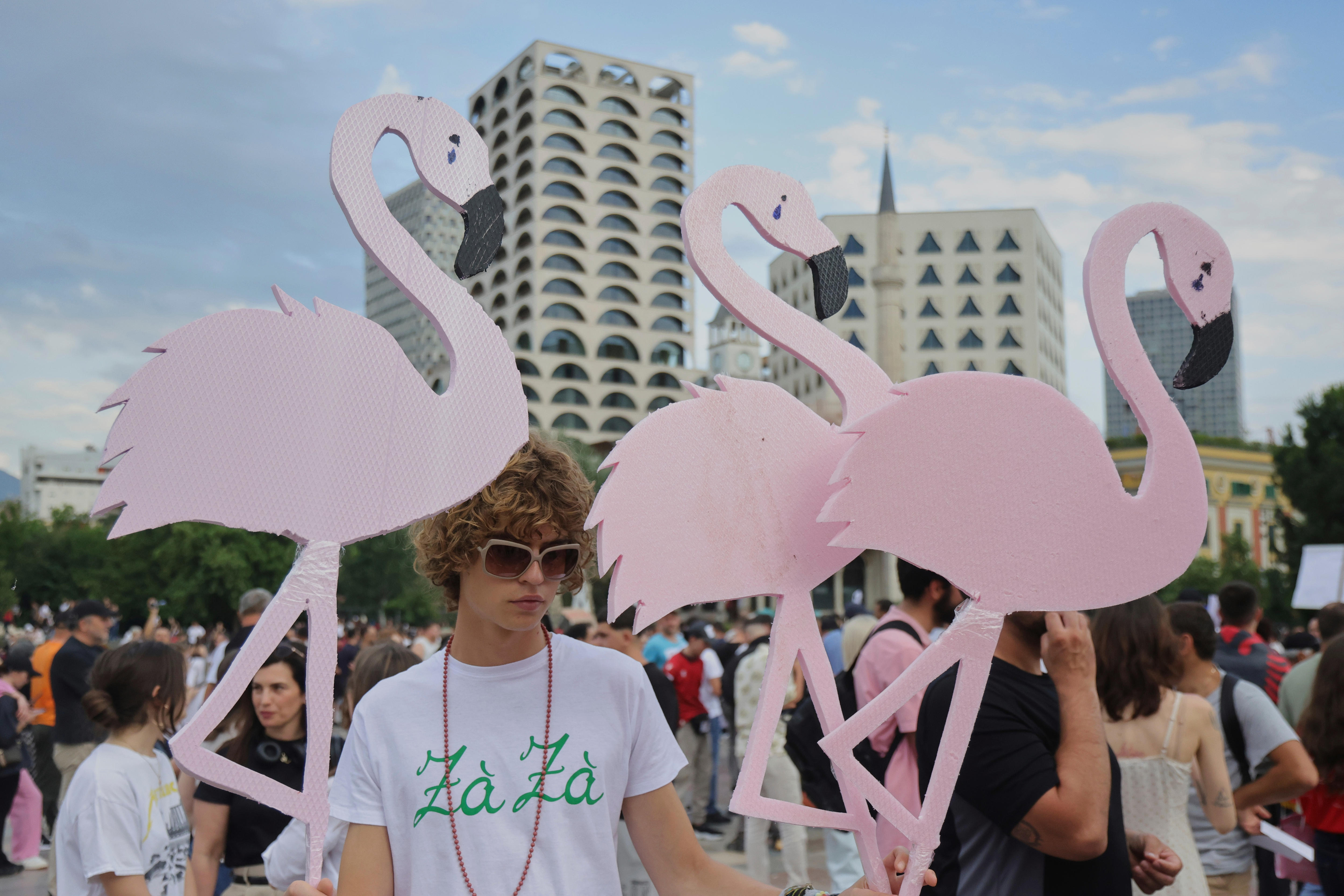 'Flamingo revolution' vs Trump resort. Inside Albania's anti-Kushner protests