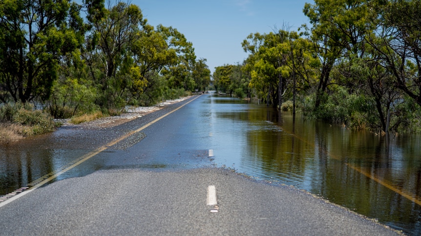 A road with water over it, and trees on either side