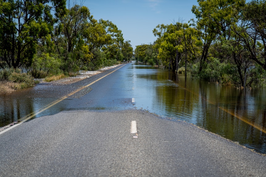 A road with water over it, and trees on either side