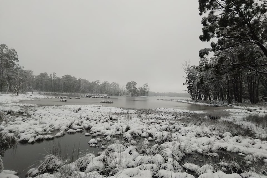 Snow at London Lakes near Bronte Park, Tasmania. August 2021.