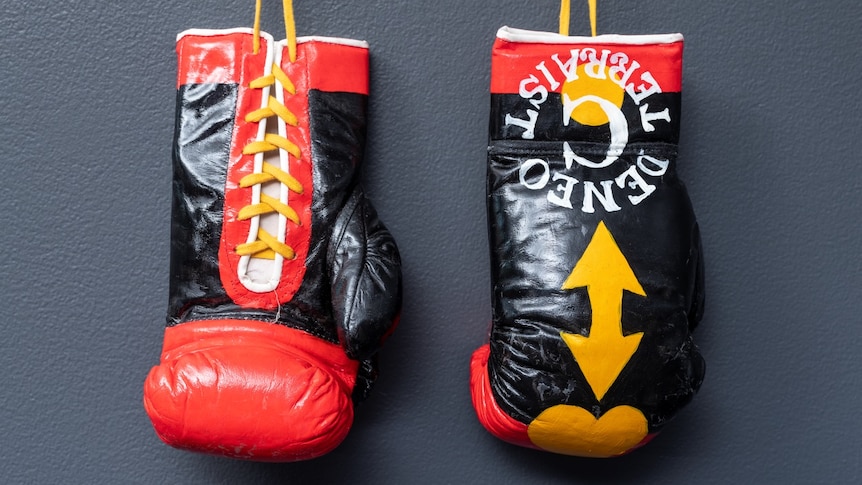 An image of boxing gloves painted in the colours of the aboriginal flag with the words "Deneo Terraist" written on one in white
