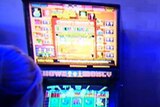 Tasmanians lost $19 million playing the pokies in July.