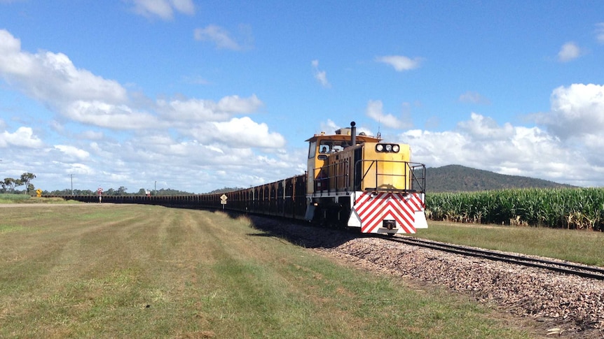 Cane train in North Queensland