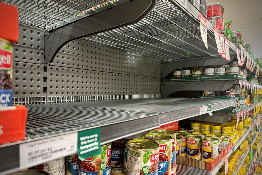 An empty supermarket shelf