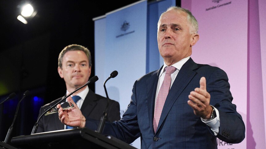 Malcolm Turnbull and Christopher Pyne