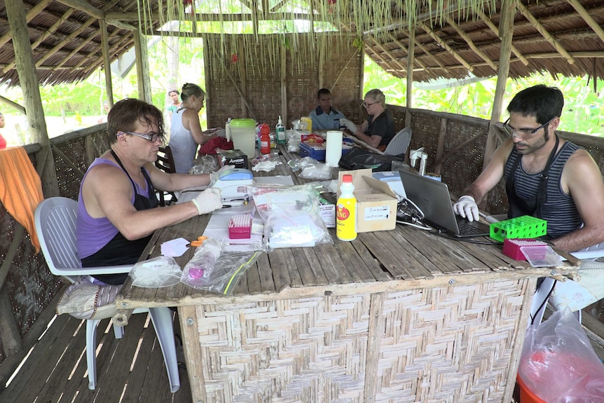 Men sit at a table in the hut preparing blood slides for testing