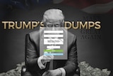Dark web log-in page for Trump's Dumps