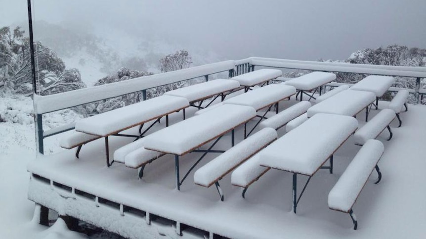 Snow up top at Thredbo Resort.