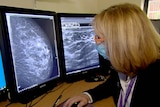 A person inspects the results of breast screening.