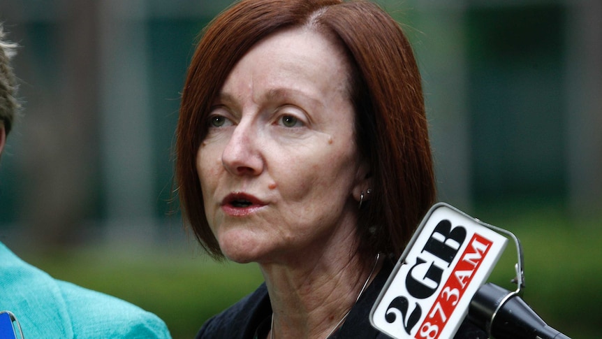 Greens Senator Rachel Siewert speaks at a press conference