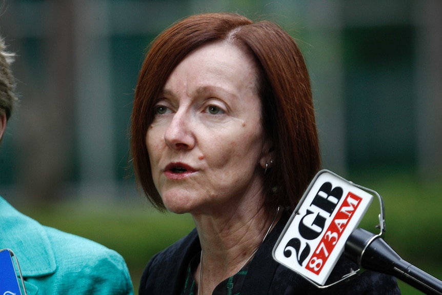 Greens Senator Rachel Siewert speaks at a press conference