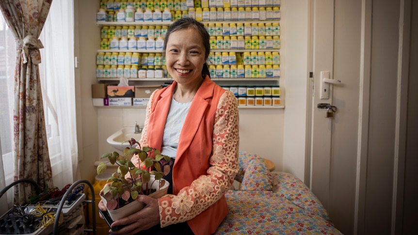 Maria Zong stands in a bright doctors office holding a young herbal plant next to a big wall of dried Chinese medicines.