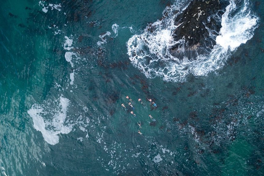 An aerial views of a group of people swimming in expanse of green ocean water.