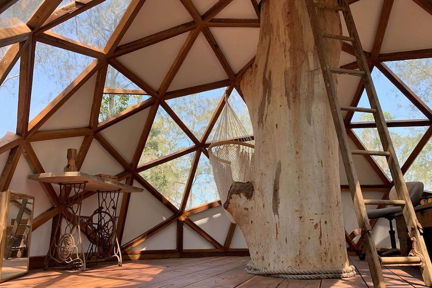 Inside a circular tree house with triangular windows in its walls