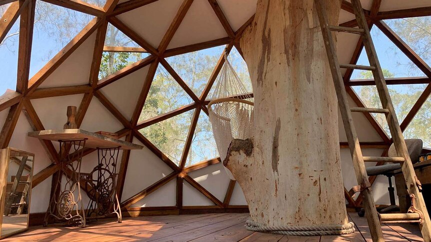 Inside a circular tree house with triangular windows in its walls