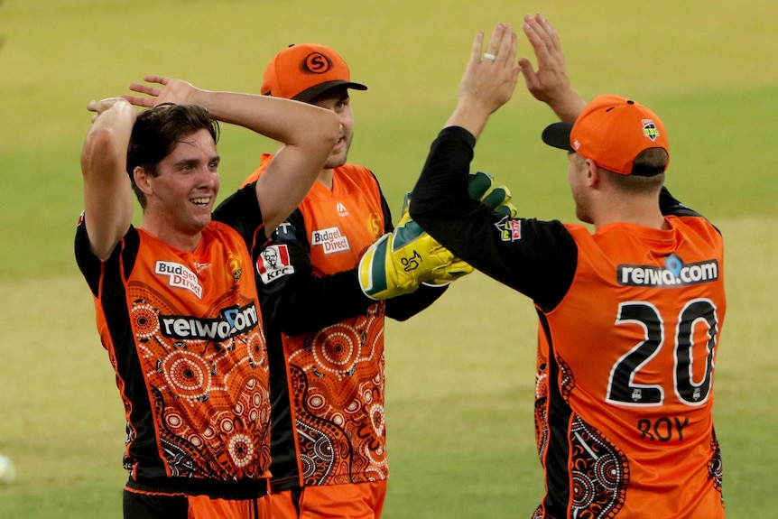 Perth Scorchers BBL players celebrate a wicket against Sydney Thunder in Perth.